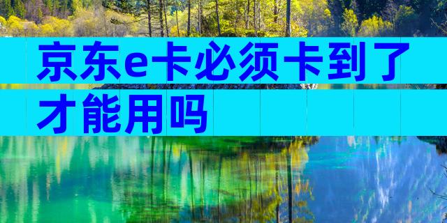 京东e卡必须卡到了才能用吗