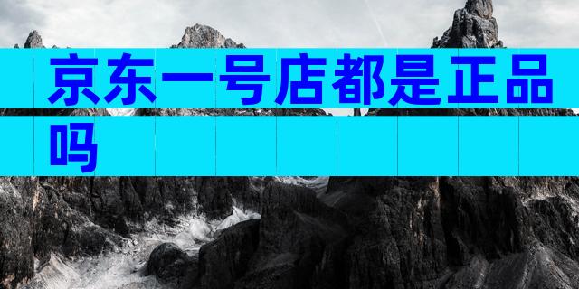 京东一号店都是正品吗
