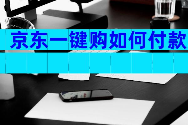 京东一键购如何付款