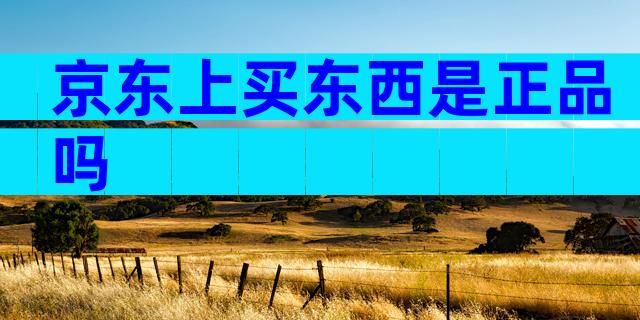 京东上买东西是正品吗