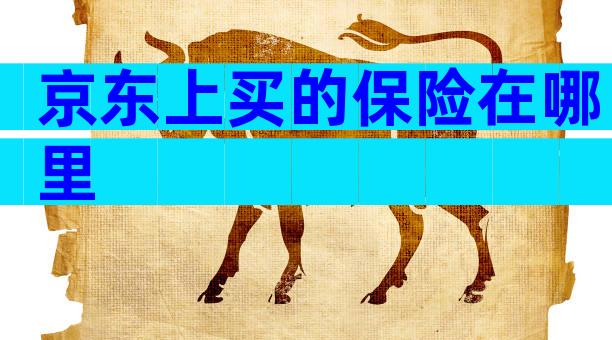 京东上买的保险在哪里
