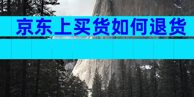 京东上买货如何退货