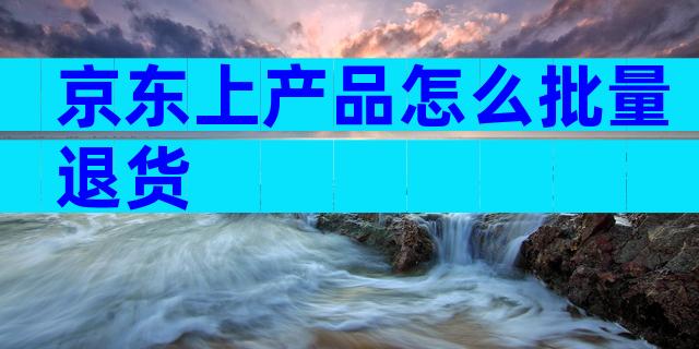 京东上产品怎么批量退货