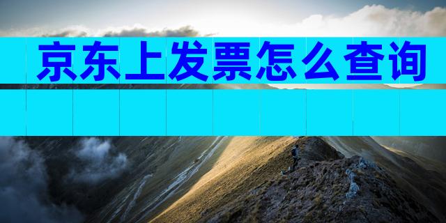 京东上发票怎么查询