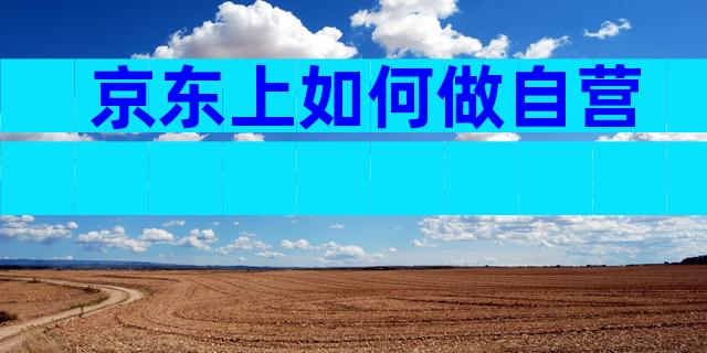 京东上如何做自营