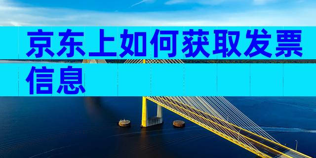 京东上如何获取发票信息