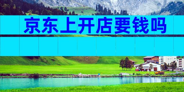 京东上开店要钱吗