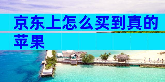 京东上怎么买到真的苹果