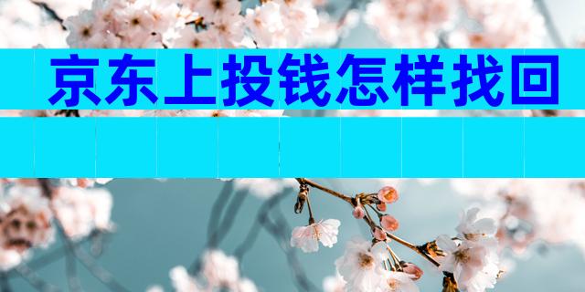 京东上投钱怎样找回