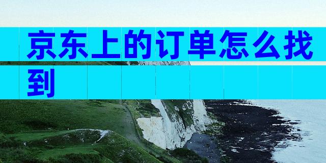 京东上的订单怎么找到