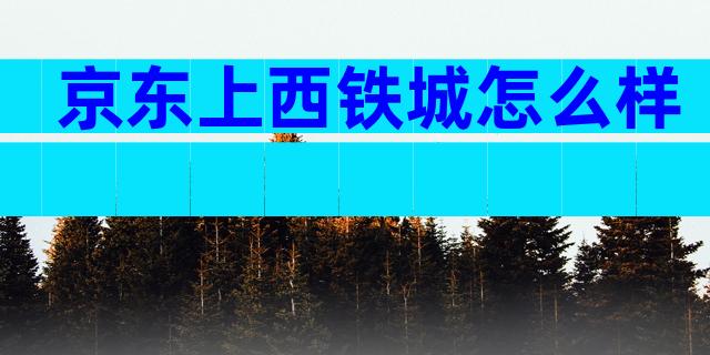 京东上西铁城怎么样