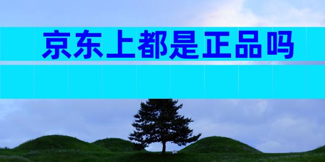京东上都是正品吗