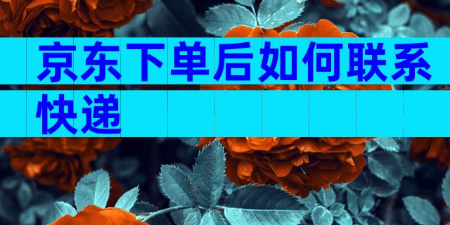 京东下单后如何联系快递