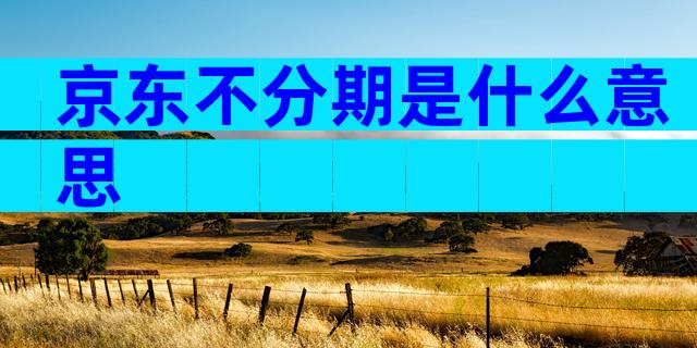 京东不分期是什么意思