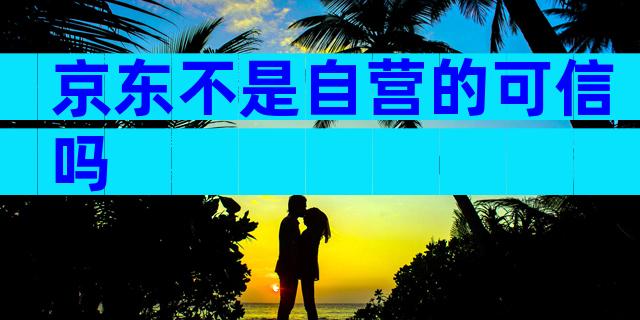 京东不是自营的可信吗