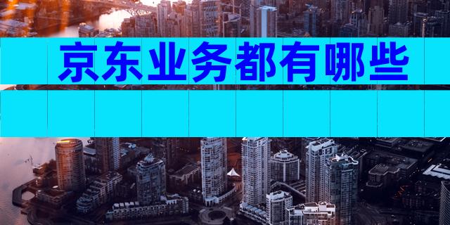 京东业务都有哪些