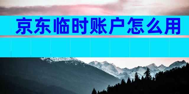 京东临时账户怎么用