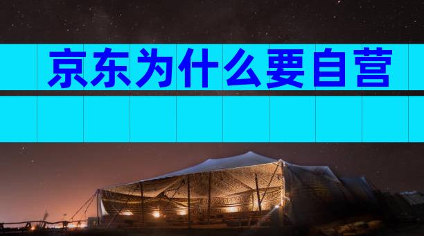 京东为什么要自营