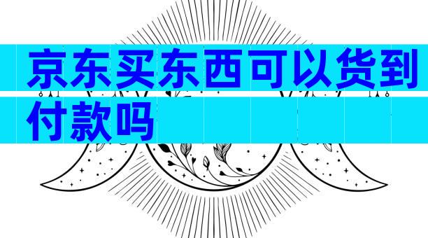 京东买东西可以货到付款吗