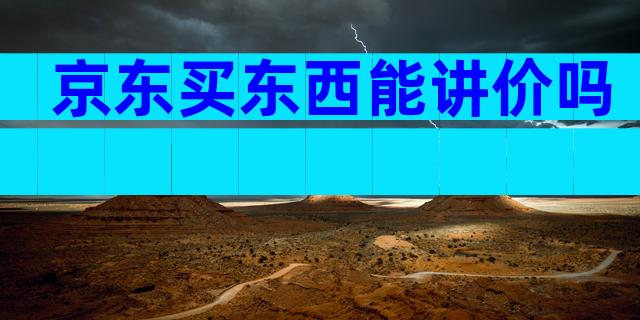 京东买东西能讲价吗