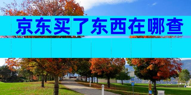 京东买了东西在哪查