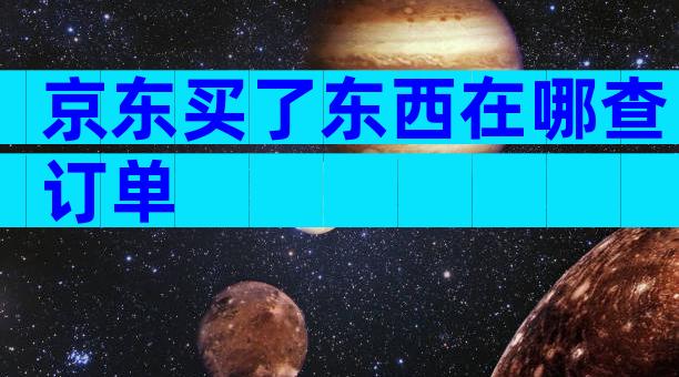 京东买了东西在哪查订单