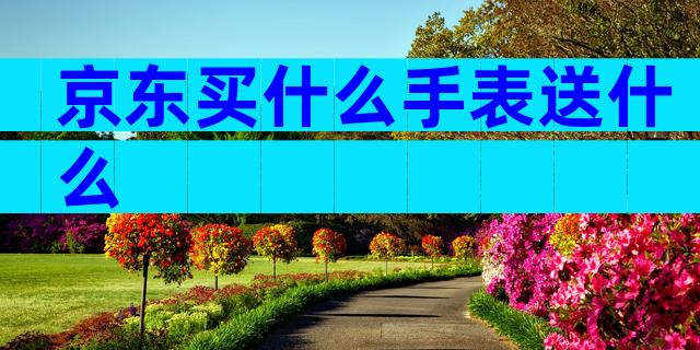 京东买什么手表送什么