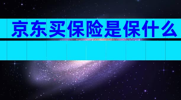 京东买保险是保什么