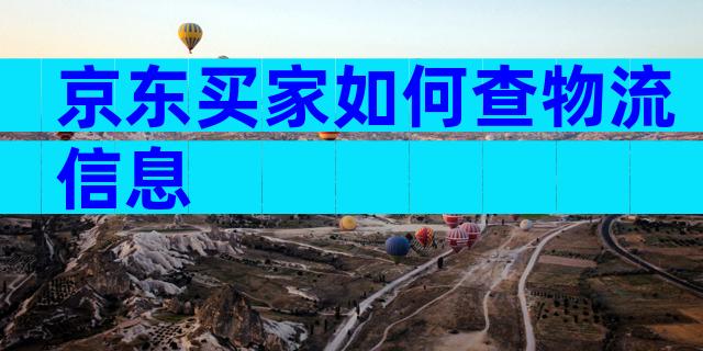 京东买家如何查物流信息