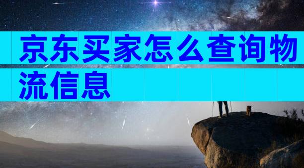 京东买家怎么查询物流信息
