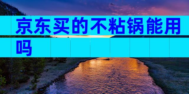 京东买的不粘锅能用吗
