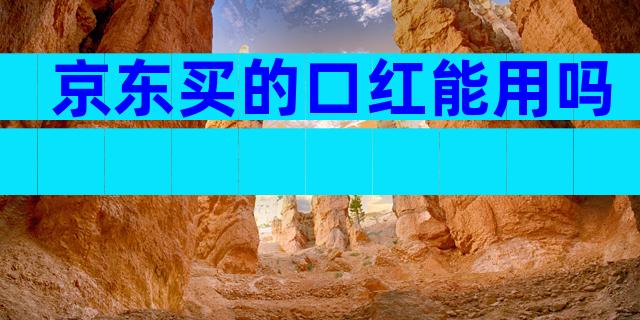 京东买的口红能用吗