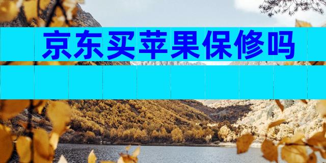 京东买苹果保修吗
