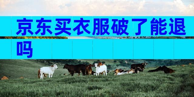 京东买衣服破了能退吗