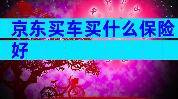 京东买车买什么保险好