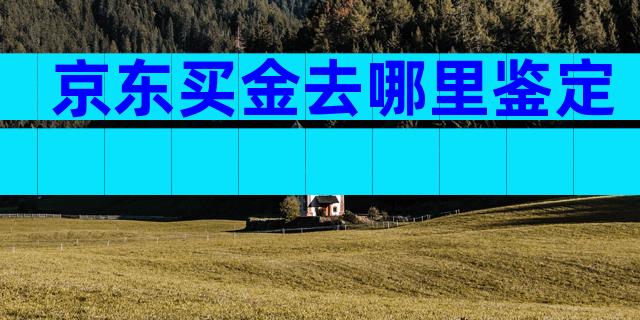 京东买金去哪里鉴定