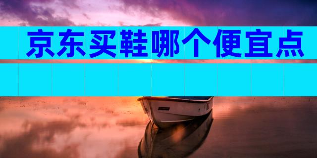 京东买鞋哪个便宜点