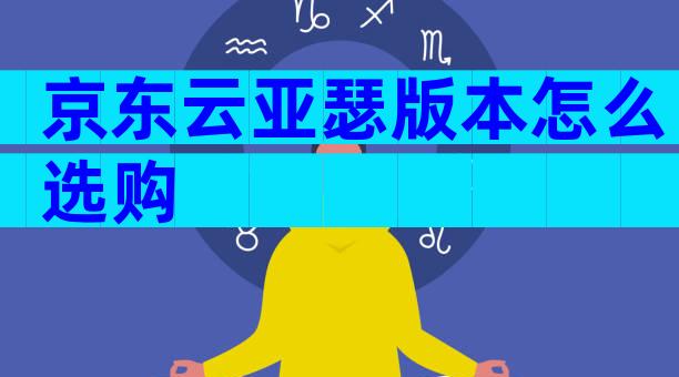 京东云亚瑟版本怎么选购