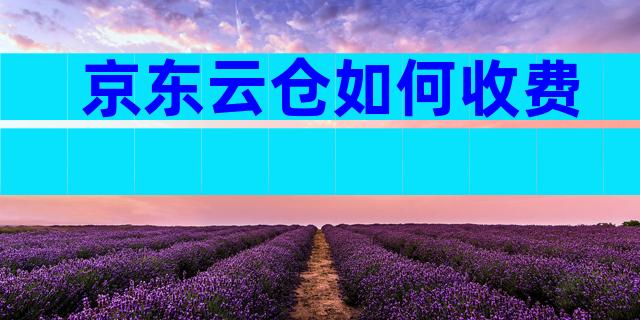 京东云仓如何收费