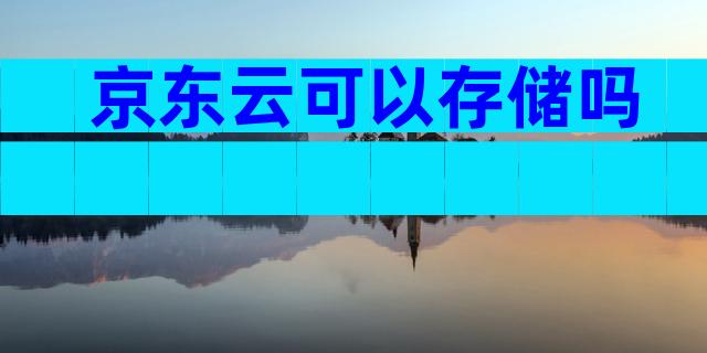 京东云可以存储吗