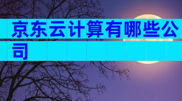京东云计算有哪些公司