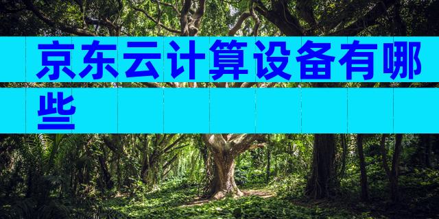 京东云计算设备有哪些