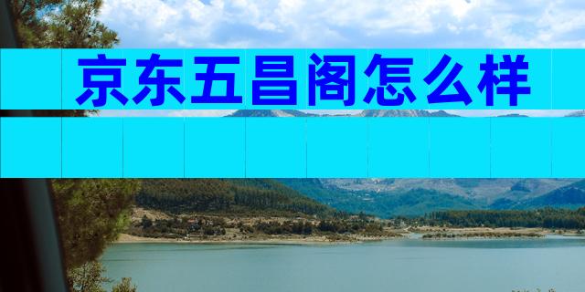 京东五昌阁怎么样