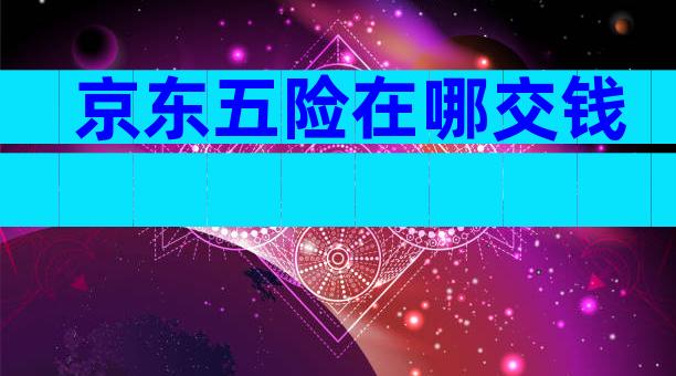 京东五险在哪交钱