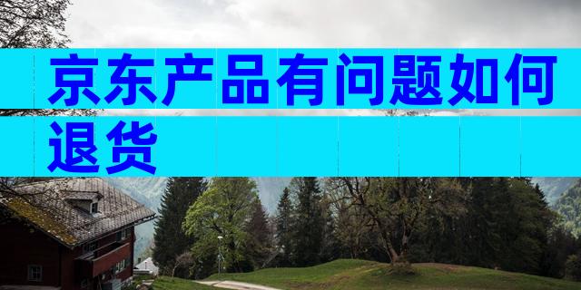 京东产品有问题如何退货