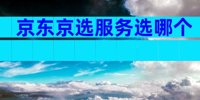 京东京选服务选哪个