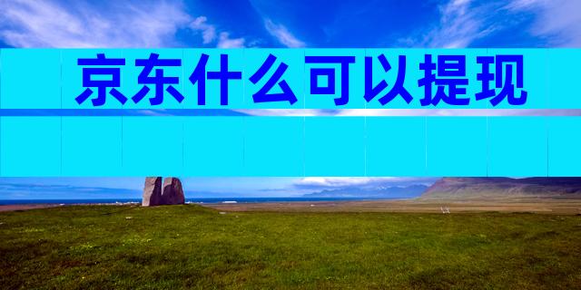 京东什么可以提现