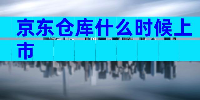 京东仓库什么时候上市