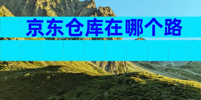 京东仓库在哪个路