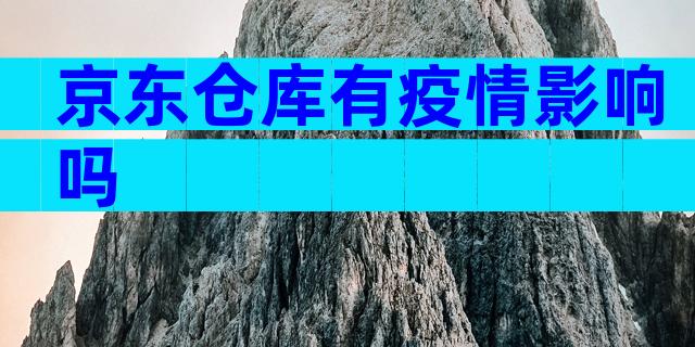 京东仓库有疫情影响吗